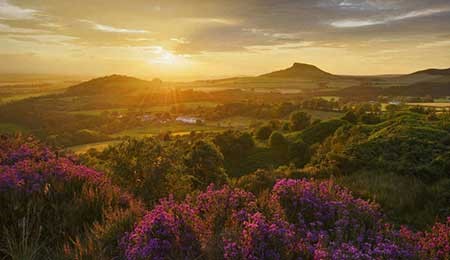 حازت هذه الجائزة باسم Heather in Bloom على الجائزة الاولى في فئة الريف البريطاني، وتكشف هذه الصورة منظرا لمنطقة نورث يورك مورس