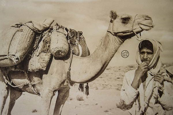 بالصور.. أول تدريب عسكري للجيش السعودي منذ 70 عاماً