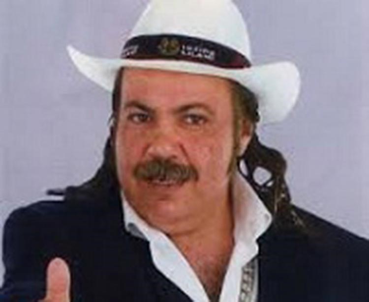طلعت زكريا
