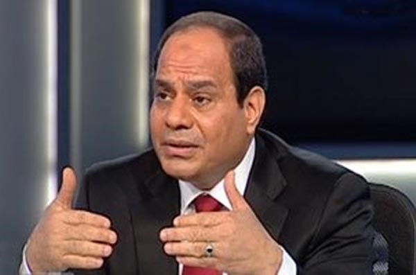 السيسي في مداخلة تلفزيونية: نسعى بكل قوة لتنفيذ ما أقره الدستور من حقوق المواطنين