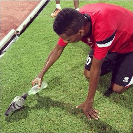 صورة: لاعب سعودي يقدم الماء لـ"حمامة" داخل الملعب 