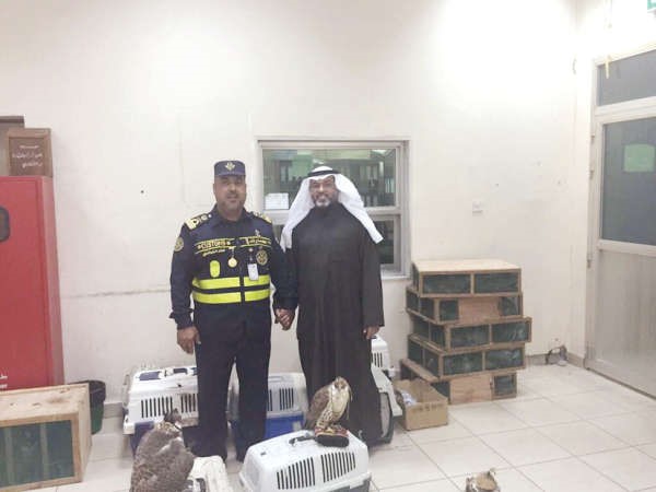 مفتشان من الشويخ وامامهما الطيور المهربة﻿