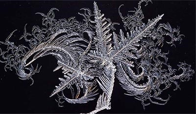 الموقع استونيا، المصور ماي كرينمان فئة الطبيعة، صورة Dragon، صورة التقطت لبلورة ثلجية من على نافذة منزل المصور