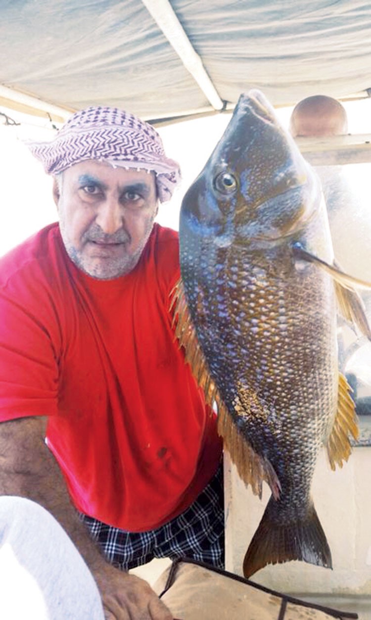 عادل محمود: مجرى البواخر صيده نقارير وهوامير