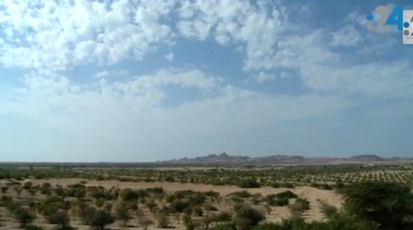 بالفيديو: جزيرة صير بني ياس .. أيقونة من حلم الشيخ زايد