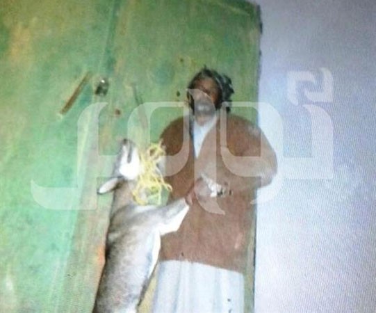 بالصور.. حارس مدرسة في السعودية يقتل ذئبًا هاجمه أثناء عمله