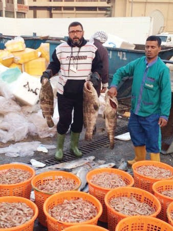 اتلاف الاسماك الفاسدة ﻿