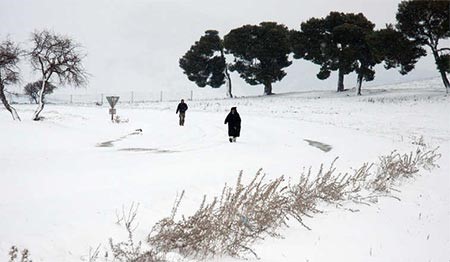 وتبادل تونسيون هذه الصورة بكثرة على صفحاتهم والصورة قديمة وهي من مدينة الكاف شمال غرب البلاد وتعود لسنة 2012
