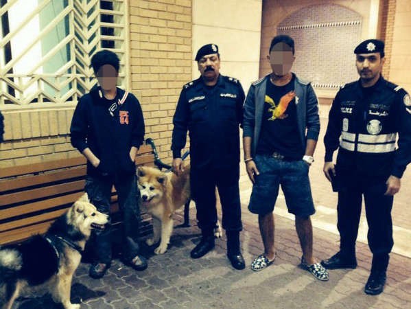 اللواء عبدالفتاح العلي امر بالتحفظ على كلاب شرسة يتنزه بها الشباب ويخيفون بها المارة﻿