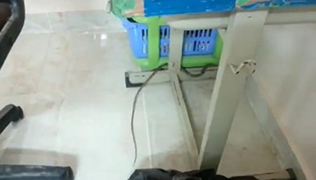 بالفيديو.. ثعبان يثير رعب وصراخ معلمات ثانوية بجازان