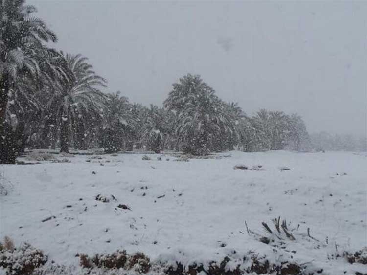 بالفيديو والصور.. الثلوج تكسو الحدود الشمالية في السعودية في مشهد فريد