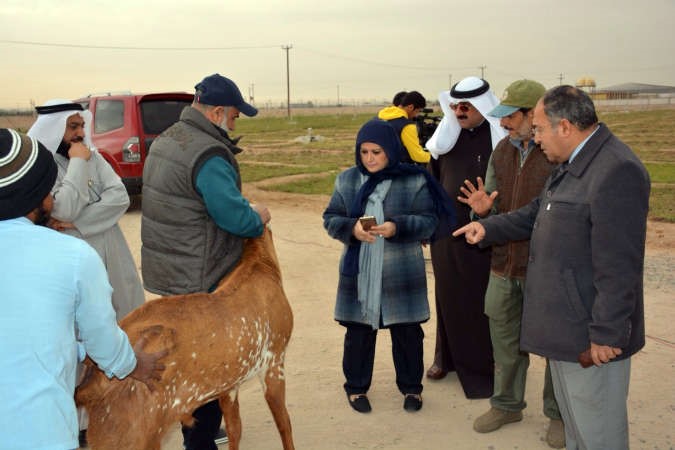  وتطلع على واقع تربية المواشي