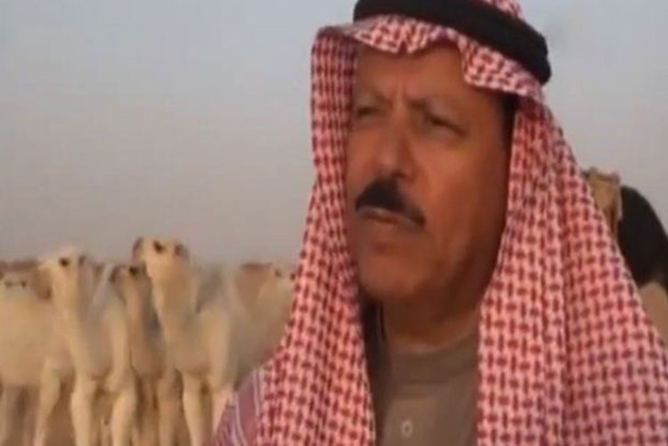 بالفيديو.. سعودي يمتلك أندر وأجمل قطيع إبل في العالم بقيمة 50 مليون دولار