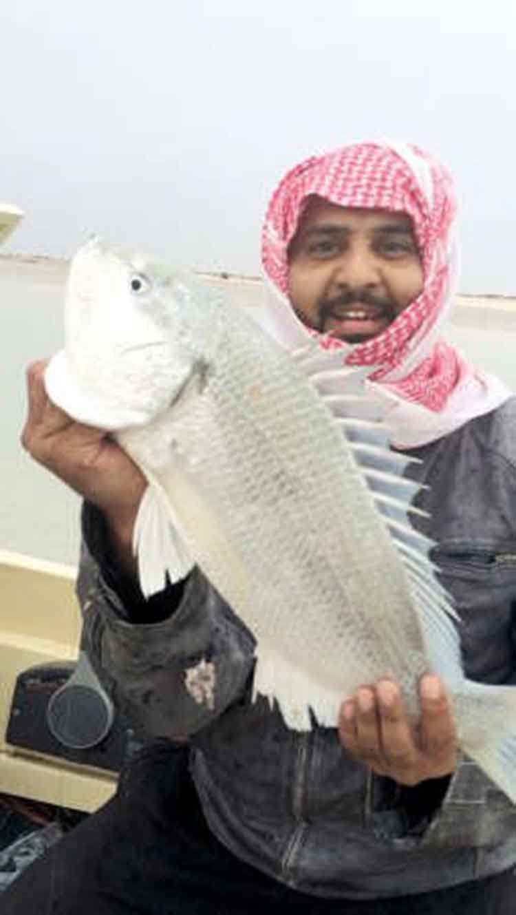 سبيطي الرشدان﻿