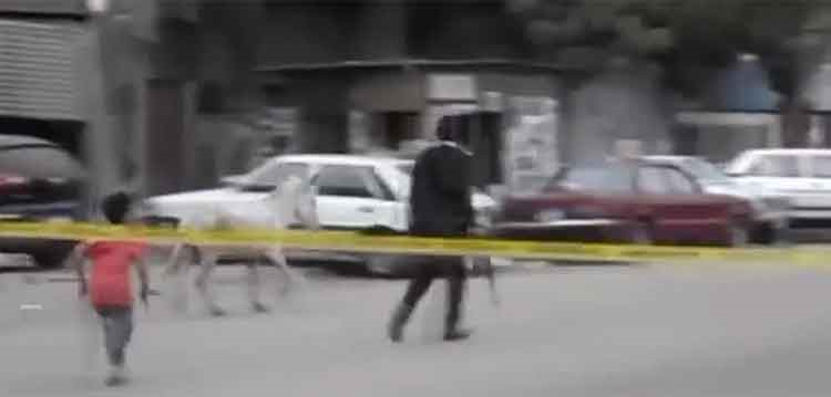 بالفيديو.. ضابط مصري يلاحق "حمارا" لمنعه من تفجير قنبلة