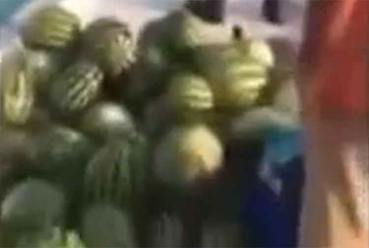 فيديو طريف.. سعوديان يصطادان البطيخ من المياه