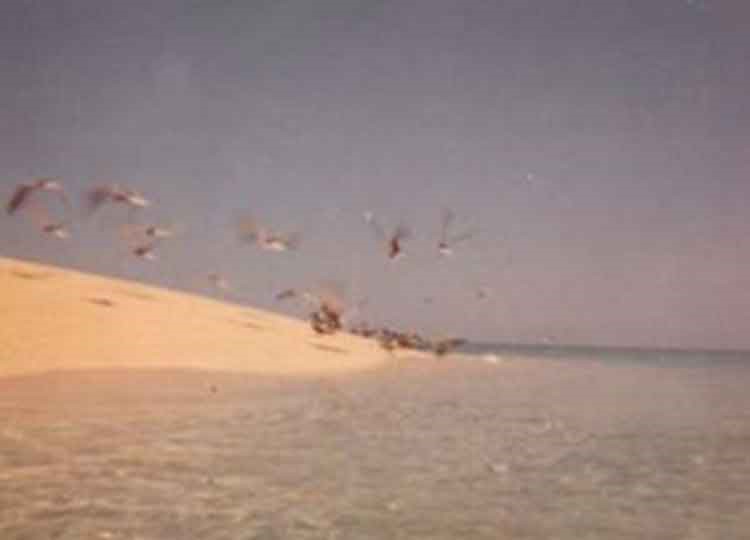 احد رفقاء الكندري بالصيد غرق بالقرب من جزيرة كبر