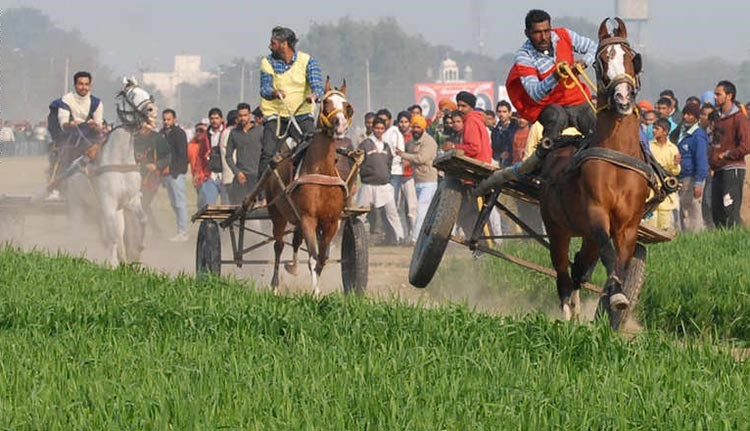 يحيي القرويون الهنود سباقات الخيل، سنويا خلال مهرجان الرياضة الريفية بدورته الـ79 حاليا، والذي يعرف ايضا باسم دورة الالعاب الاولمبية في منطقة كيلا رايبور الهندية، على بعد حوالي 20 كيلومترا، من مدينة لوديانا الهندية في فبراير الحالي