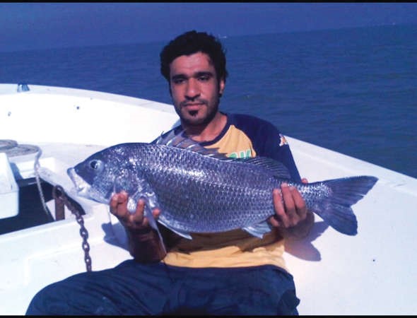 القلاف: قوعة الرشدان منبع الشعم العود والسبيطي سيد أراضيها
