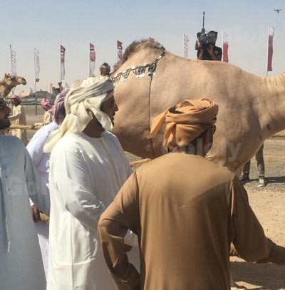 بالصور.. إلهام شاهين ويسرا في مهرجان التراث بأبوظبي