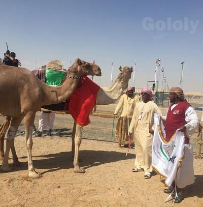 بالصور.. إلهام شاهين ويسرا في مهرجان التراث بأبوظبي