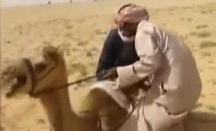 بالفيديو.. سعودي يفشل في امتطاء جمل ويقع رأسا على عقب ليصبح مثار تندر مواقع التواصل