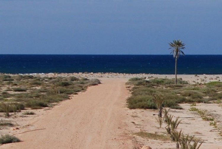 صحيفة تكشف رد البغدادي على ضربات الجيش المصري.. وصورة "نخلة" تكشف الكذب الداعشي بفيديو الذبح