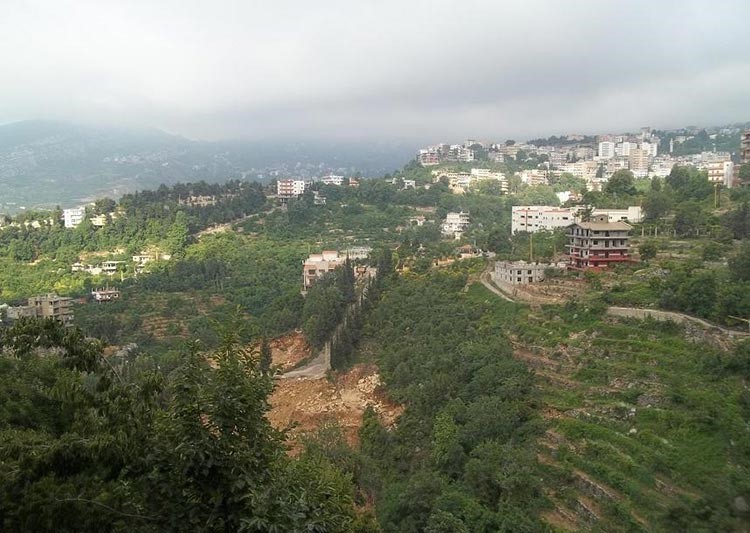 لبنان لا يتحمّل تجاذبات حول الملفات العسكرية