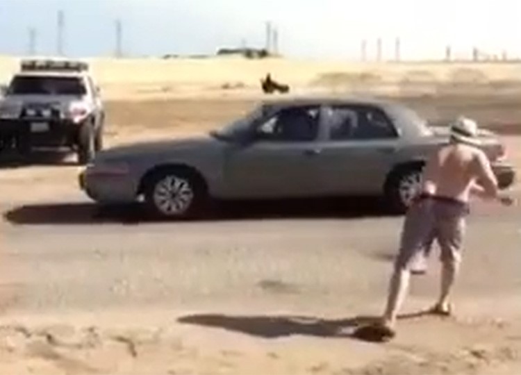 بالفيديو.. اميركي "دفش" يصيب وجه كويتي مسرع بسيارته ببالون مياه !