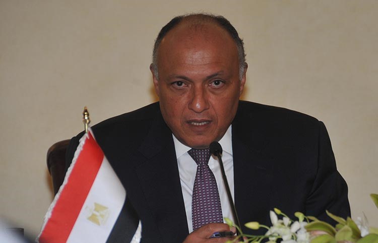 سامح شكري