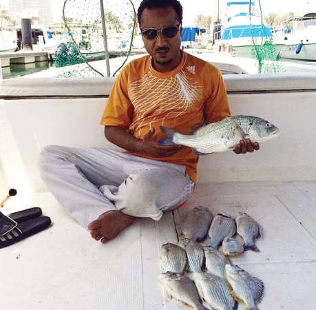 الوقيت: «الهـامـور»  ينصاد بالسجي والوقفة والفساد