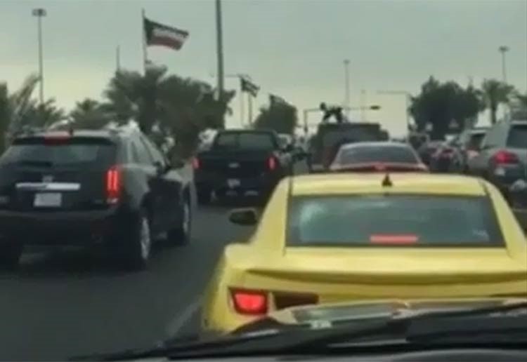 بالفيديو.. قرد يقفز متنقلا بين سطوح السيارات على الدائري الثاني