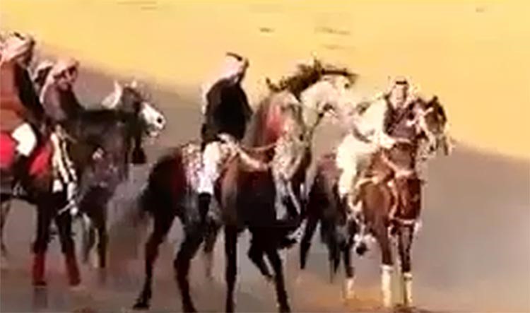 بالفيديو.. حصان "يعض" ممثلاً خليجياً ويرميه عن ظهر حصان آخر اثناء التصوير
