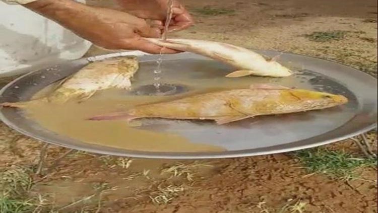 فيديو يكشف حالة نادرة تشهدها العاصمة الرياض