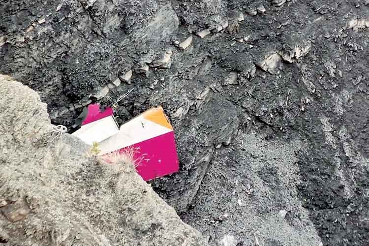 هل انتحر طيار "الألمانية" أو مساعده وقتل الركاب؟ 