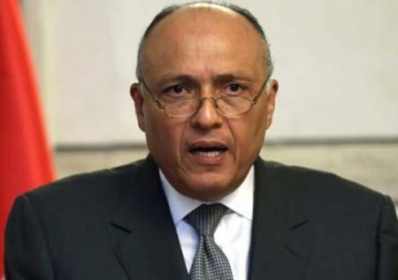 وزير الخارجية المصري سامح شكري