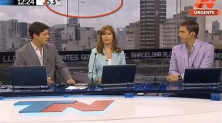 بالفيديو.. طبق طائر يظهر في نشرة أخبار على الهواء مباشرة