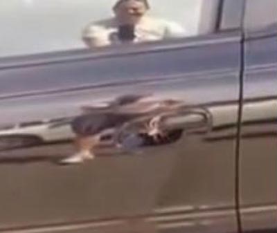 بالفيديو.. رجل يعجز عن فتح باب سيارته بسبب «عنكبوت» ضخم