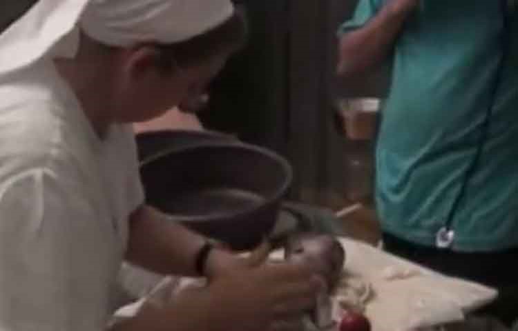 بالفيديو.. «الممرضة المعجزة» تنقذ مولودا شبه ميت