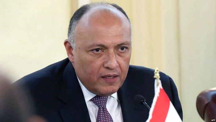 مصر: مستمرون في مساندة التحالف في اليمن