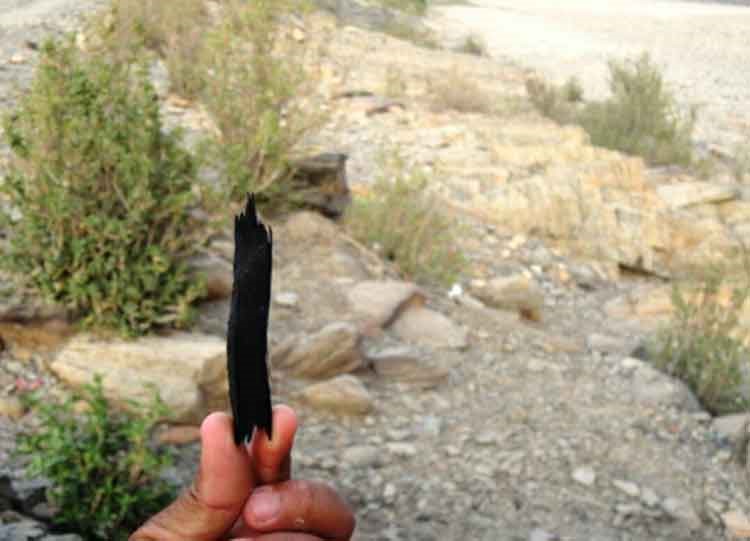 بالصور.. تعرف على "القطران".. "السائل السحري" لعلاج الأمراض لأهل البادية