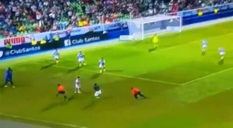 بالفيديو.. مشجع يقتحم الملعب ويطارد "حكماً" في المكسيك! 