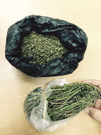 الماريغوانا المضبوطة في المطار﻿