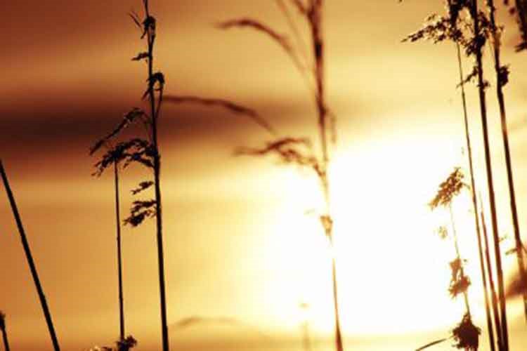 هل ستصل الحرارة إلى 70 مئوياً في رمضان؟