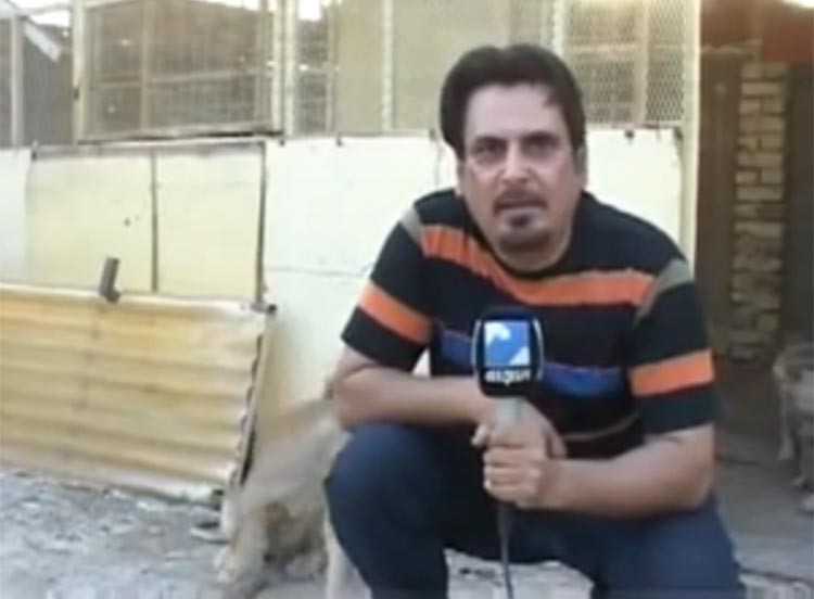بالفيديو.. أسد يعض مراسل على الهواء مباشرة!