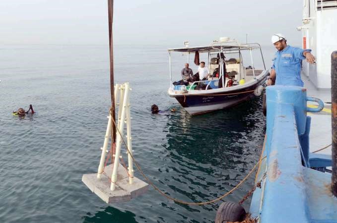 جانب من عملية تنزيل المعدات لتثبيت الشعاب عليها﻿