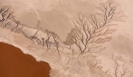 بالصور.. شاهد أغرب لقطات السفر في مسابقة ناشيونال جيوغرافيك 2015