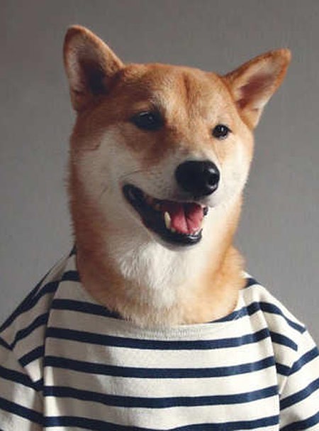 بودي نجم مدونة MENS WEAR DOG يرتدي قميصا مخططا بالابيض والاسود