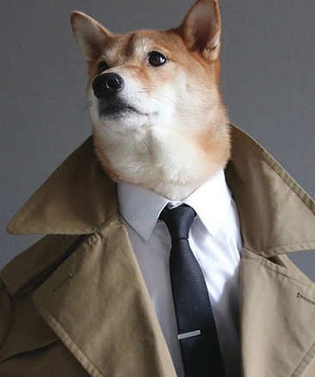 بودي نجم مدونة MENS WEAR DOG يرتدي معطفا وقميصا ابيض اللون وربطة عنق سوداء