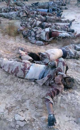  وصورة بثها الجيش المصري على صفحته في الفيسبوك لجثث ارهابيين قام بتصفيتهم في سيناء وهم يرتدون زي الجيش المموه 	افپ﻿